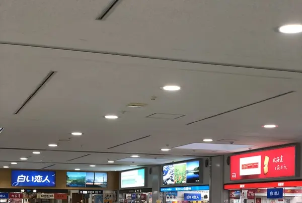 女満別空港の写真・動画_image_339328