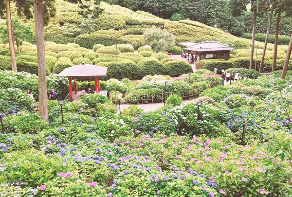 三室戸寺の写真・動画_image_340288