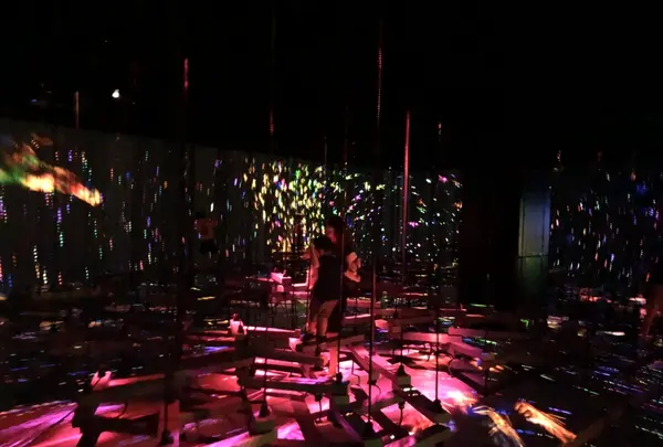 【閉業】森ビルデジタルアートミュージアム：エプソン チームラボボーダレス（MORI Building Digital Art Museum: EPSON teamLab Borderless）の写真・動画_image_340462