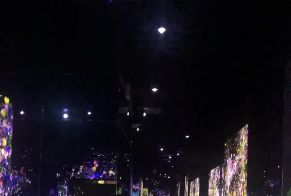 【閉業】森ビルデジタルアートミュージアム：エプソン チームラボボーダレス（MORI Building Digital Art Museum: EPSON teamLab Borderless）の写真・動画_image_340473