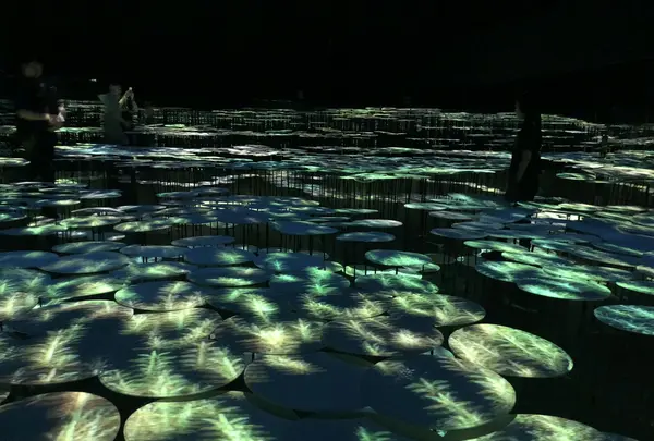【閉業】森ビルデジタルアートミュージアム：エプソン チームラボボーダレス（MORI Building Digital Art Museum: EPSON teamLab Borderless）の写真・動画_image_340474