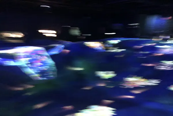 【閉業】森ビルデジタルアートミュージアム：エプソン チームラボボーダレス（MORI Building Digital Art Museum: EPSON teamLab Borderless）の写真・動画_image_340475