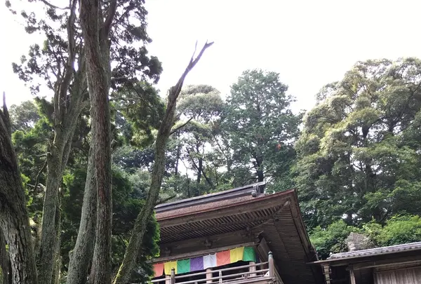 日龍峰寺（高沢観音）の写真・動画_image_341002