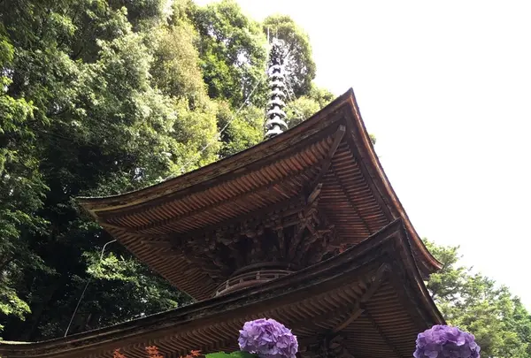 日龍峰寺（高沢観音）の写真・動画_image_341007
