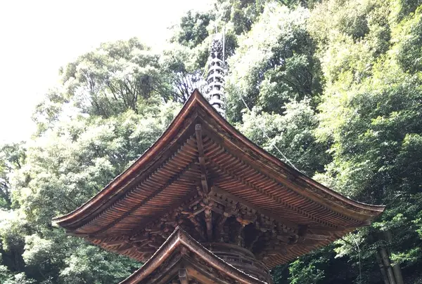 日龍峰寺（高沢観音）の写真・動画_image_341008