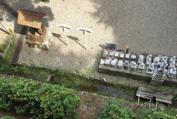 日龍峰寺（高沢観音）の写真・動画_image_341009