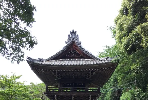 日龍峰寺（高沢観音）の写真・動画_image_341010