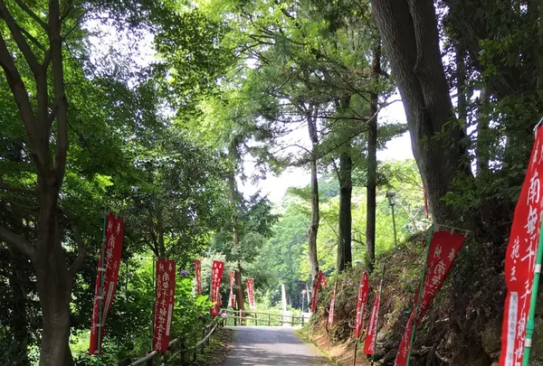 日龍峰寺（高沢観音）の写真・動画_image_341012