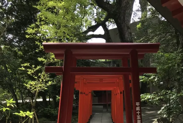 來宮神社の写真・動画_image_341135