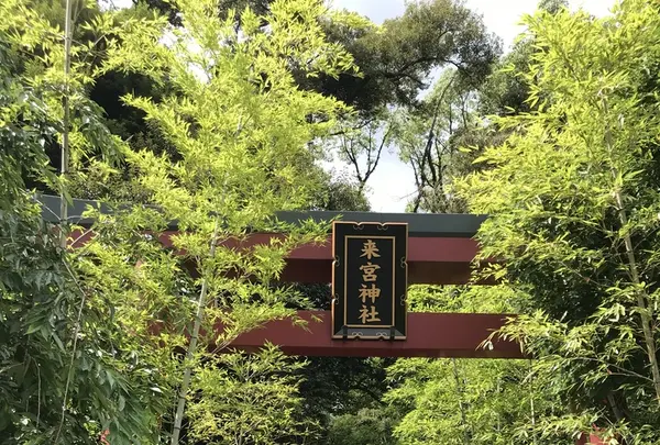 來宮神社の写真・動画_image_341137