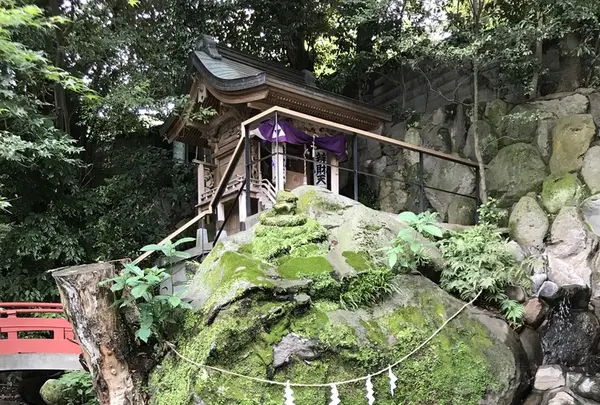 來宮神社の写真・動画_image_341138