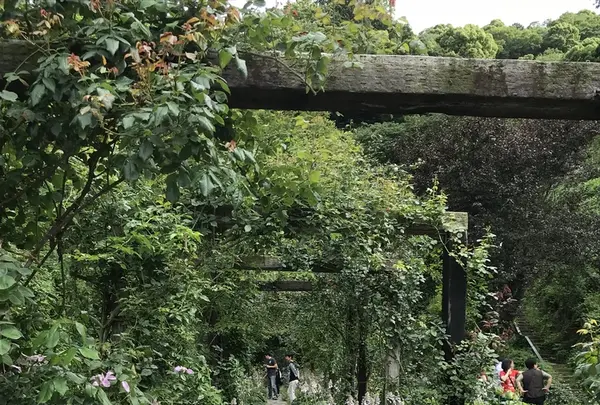 アカオハーブ＆ローズガーデンの写真・動画_image_341143