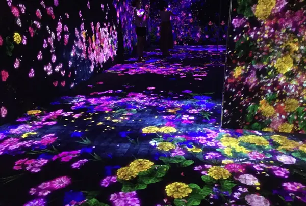 【閉業】森ビルデジタルアートミュージアム：エプソン チームラボボーダレス（MORI Building Digital Art Museum: EPSON teamLab Borderless）の写真・動画_image_341284
