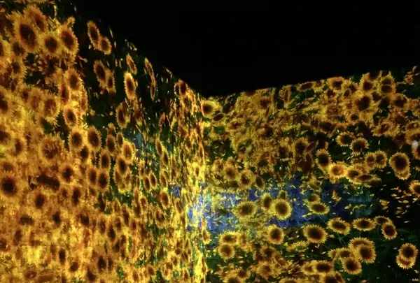 【閉業】森ビルデジタルアートミュージアム：エプソン チームラボボーダレス（MORI Building Digital Art Museum: EPSON teamLab Borderless）の写真・動画_image_341285