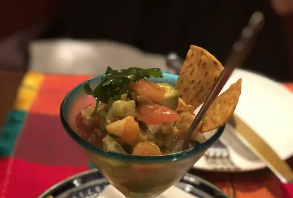 サルシータの写真・動画_image_341650