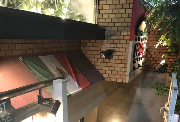 サルシータの写真・動画_image_341651