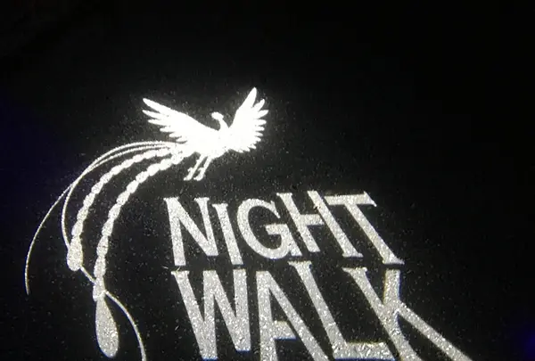 ニジゲンノモリ ナイトウォーク 火の鳥の写真・動画_image_342425