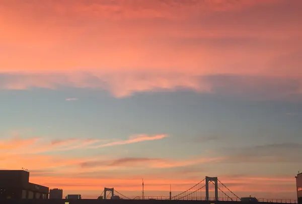 お台場の写真・動画_image_342467