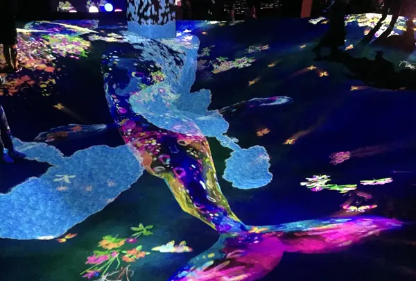 【閉業】森ビルデジタルアートミュージアム：エプソン チームラボボーダレス（MORI Building Digital Art Museum: EPSON teamLab Borderless）の写真・動画_image_342488