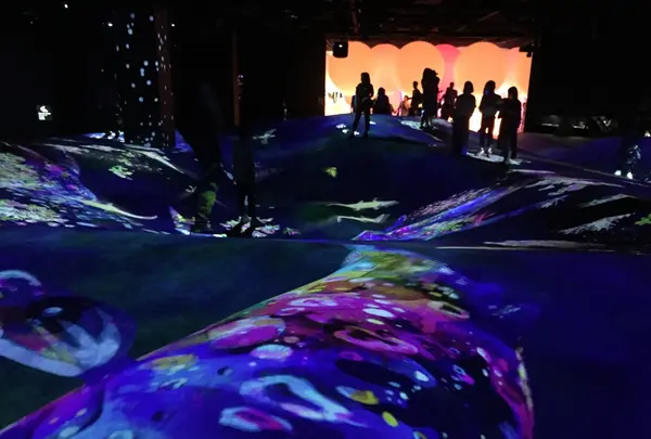 【閉業】森ビルデジタルアートミュージアム：エプソン チームラボボーダレス（MORI Building Digital Art Museum: EPSON teamLab Borderless）の写真・動画_image_342589