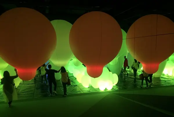 【閉業】森ビルデジタルアートミュージアム：エプソン チームラボボーダレス（MORI Building Digital Art Museum: EPSON teamLab Borderless）の写真・動画_image_342591