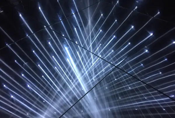 【閉業】森ビルデジタルアートミュージアム：エプソン チームラボボーダレス（MORI Building Digital Art Museum: EPSON teamLab Borderless）の写真・動画_image_342592