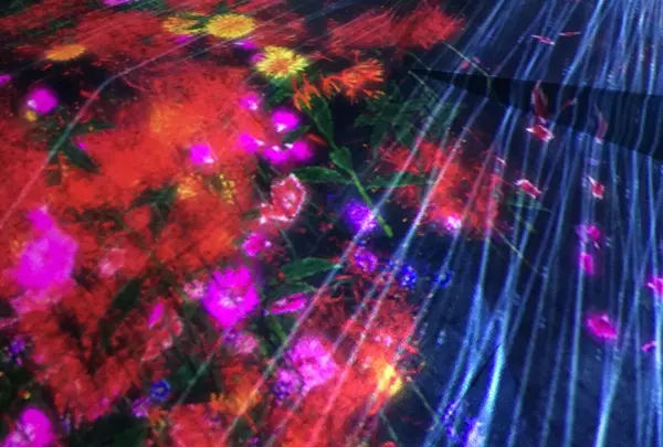 【閉業】森ビルデジタルアートミュージアム：エプソン チームラボボーダレス（MORI Building Digital Art Museum: EPSON teamLab Borderless）の写真・動画_image_342769