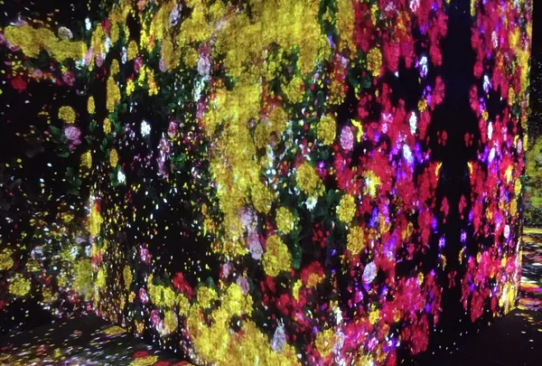 【閉業】森ビルデジタルアートミュージアム：エプソン チームラボボーダレス（MORI Building Digital Art Museum: EPSON teamLab Borderless）の写真・動画_image_342771