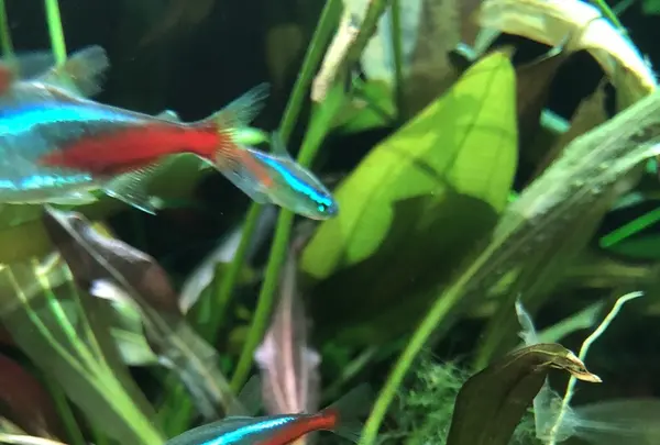 アクア・トトぎふの写真・動画_image_342844