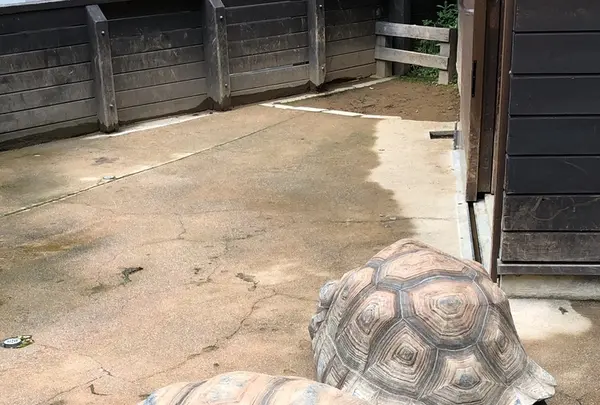 アクア・トトぎふの写真・動画_image_342847