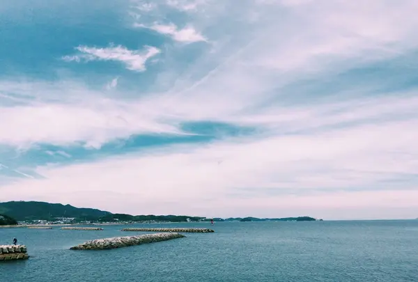 吉良ワイキキビーチの写真・動画_image_342887