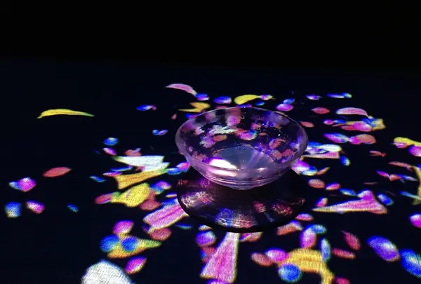 【閉業】森ビルデジタルアートミュージアム：エプソン チームラボボーダレス（MORI Building Digital Art Museum: EPSON teamLab Borderless）の写真・動画_image_342913
