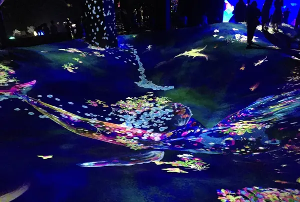 【閉業】森ビルデジタルアートミュージアム：エプソン チームラボボーダレス（MORI Building Digital Art Museum: EPSON teamLab Borderless）の写真・動画_image_342916