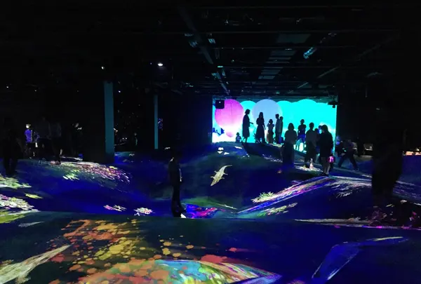 【閉業】森ビルデジタルアートミュージアム：エプソン チームラボボーダレス（MORI Building Digital Art Museum: EPSON teamLab Borderless）の写真・動画_image_343093
