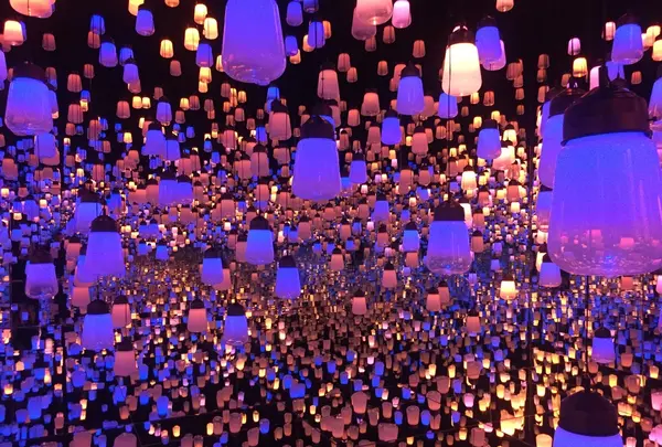 【閉業】森ビルデジタルアートミュージアム：エプソン チームラボボーダレス（MORI Building Digital Art Museum: EPSON teamLab Borderless）の写真・動画_image_343095