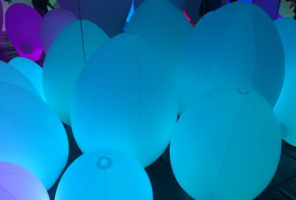 【閉業】森ビルデジタルアートミュージアム：エプソン チームラボボーダレス（MORI Building Digital Art Museum: EPSON teamLab Borderless）の写真・動画_image_343210