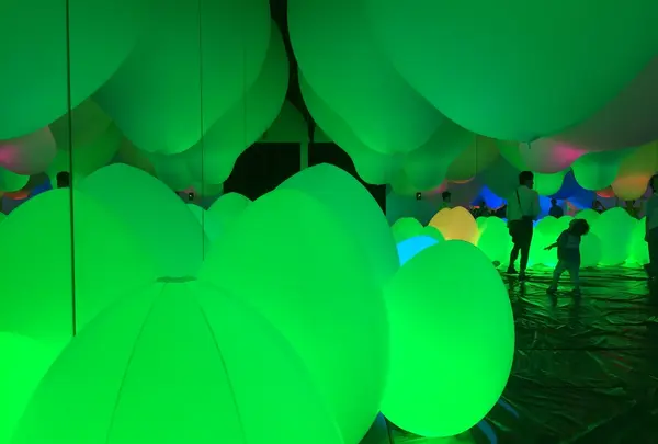 【閉業】森ビルデジタルアートミュージアム：エプソン チームラボボーダレス（MORI Building Digital Art Museum: EPSON teamLab Borderless）の写真・動画_image_343211