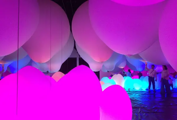 【閉業】森ビルデジタルアートミュージアム：エプソン チームラボボーダレス（MORI Building Digital Art Museum: EPSON teamLab Borderless）の写真・動画_image_343212