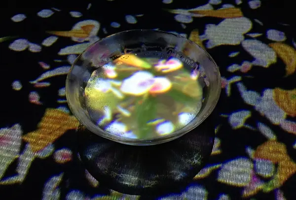 【閉業】森ビルデジタルアートミュージアム：エプソン チームラボボーダレス（MORI Building Digital Art Museum: EPSON teamLab Borderless）の写真・動画_image_343213