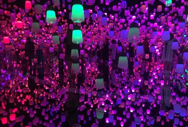 【閉業】森ビルデジタルアートミュージアム：エプソン チームラボボーダレス（MORI Building Digital Art Museum: EPSON teamLab Borderless）の写真・動画_image_343324