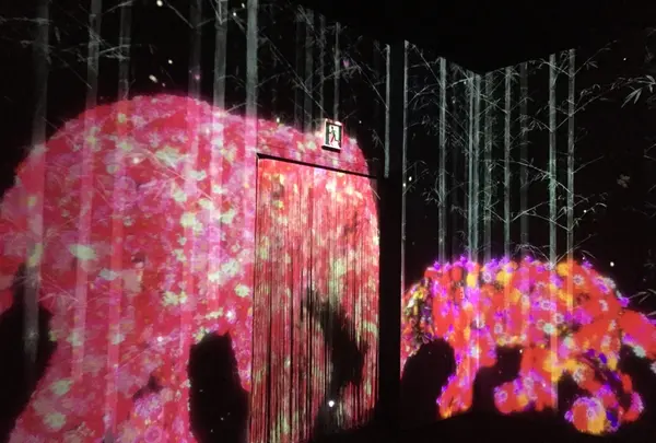 【閉業】森ビルデジタルアートミュージアム：エプソン チームラボボーダレス（MORI Building Digital Art Museum: EPSON teamLab Borderless）の写真・動画_image_343325
