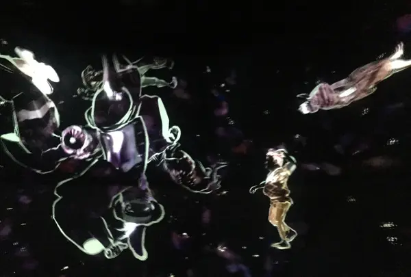 【閉業】森ビルデジタルアートミュージアム：エプソン チームラボボーダレス（MORI Building Digital Art Museum: EPSON teamLab Borderless）の写真・動画_image_343326