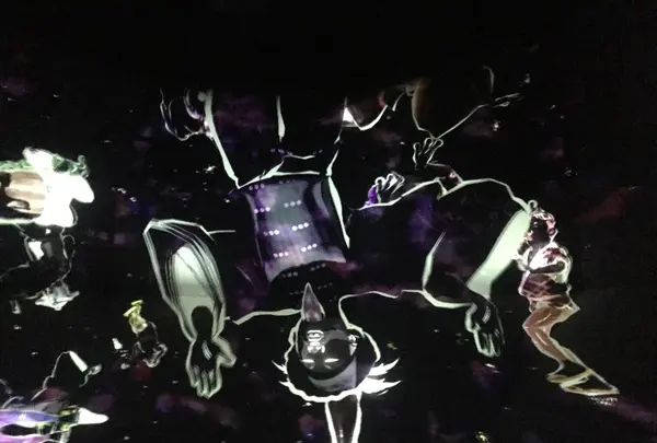 【閉業】森ビルデジタルアートミュージアム：エプソン チームラボボーダレス（MORI Building Digital Art Museum: EPSON teamLab Borderless）の写真・動画_image_343327