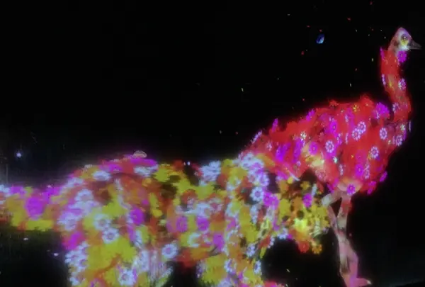 【閉業】森ビルデジタルアートミュージアム：エプソン チームラボボーダレス（MORI Building Digital Art Museum: EPSON teamLab Borderless）の写真・動画_image_343328