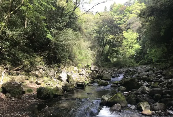 天安河原の写真・動画_image_343506