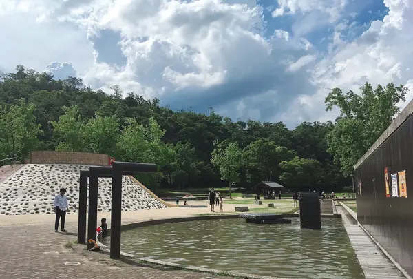 宝が池公園 子どもの楽園の写真・動画_image_343724