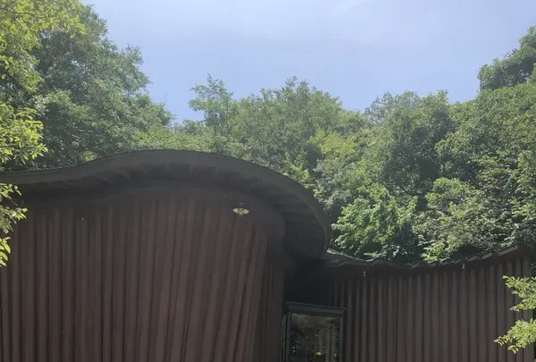 トーベ・ヤンソンあけぼの子どもの森公園の写真・動画_image_344158