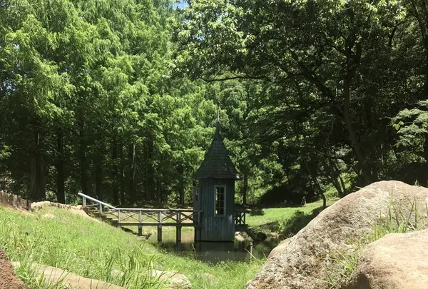 トーベ・ヤンソンあけぼの子どもの森公園の写真・動画_image_344165