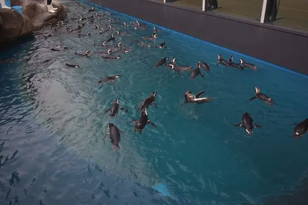 上越市立水族博物館 うみがたり（旧：上越市立水族博物館）の写真・動画_image_344355