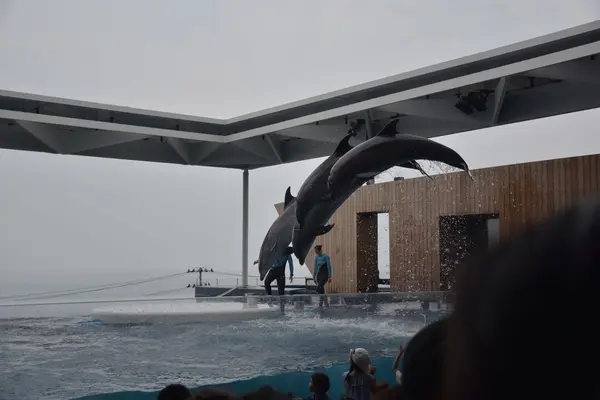 上越市立水族博物館 うみがたり（旧：上越市立水族博物館）の写真・動画_image_344815